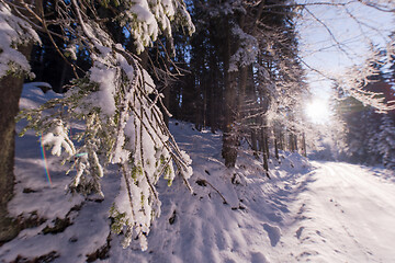 Image showing winter road