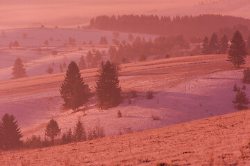 Image showing winter landscape scenic  with lonely tree