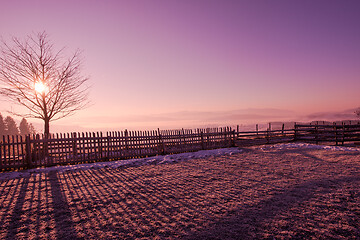 Image showing winter landscape scenic  with lonely tree