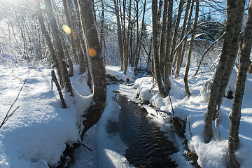 Image showing winter creek ice