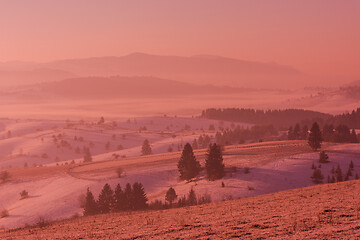 Image showing winter landscape scenic  with lonely tree