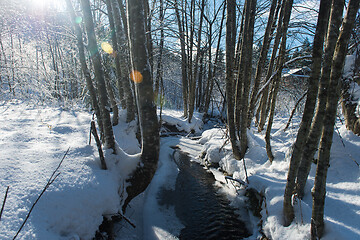 Image showing winter creek ice