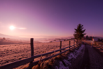 Image showing winter landscape scenic  with lonely tree