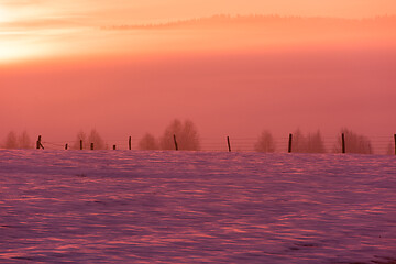 Image showing winter landscape scenic  with lonely tree