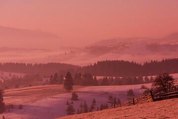 Image showing winter landscape scenic  with lonely tree