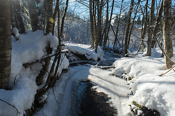 Image showing winter creek ice