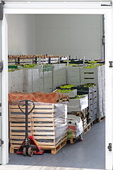 Image showing Pallet Jack Crates Load