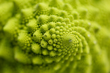 Image showing close up of romanesco broccoli