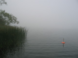 Image showing Fog on lake