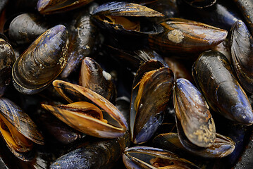 Image showing Close up shot of fresh and raw sea mussels in black ceramic bowl placed on dark