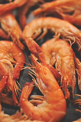 Image showing Close up on boiled big sea prawns or shrimps placed on black ceramic plate