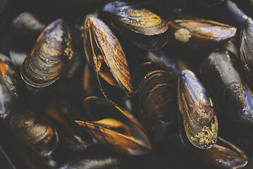 Image showing Close up shot of fresh and raw sea mussels in black ceramic bowl