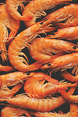 Image showing Close up on boiled big sea prawns or shrimps placed on black ceramic plate