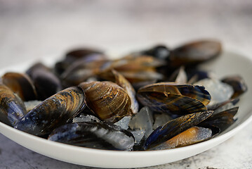 Image showing Shellfish raw mussels in ceramic white bowl, placed on stone gray background