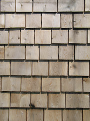 Image showing wood wall background