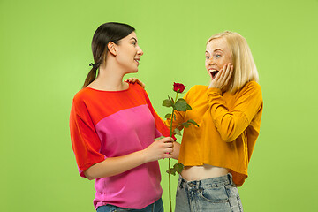 Image showing Portrait of pretty girls isolated on green studio background