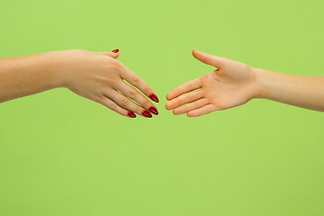 Image showing Closeup shot of human holding hands isolated on green studio background.