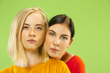 Image showing Portrait of pretty girls isolated on green studio background