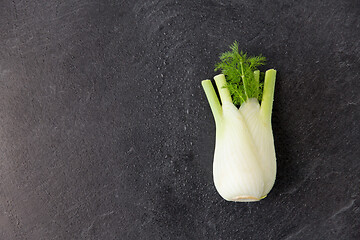 Image showing fennel on table on slate stone background