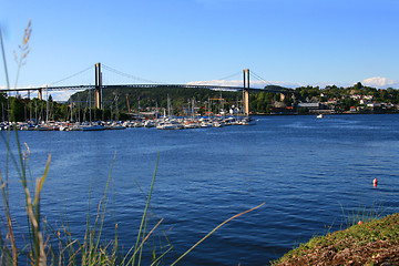 Image showing Bridge and marina