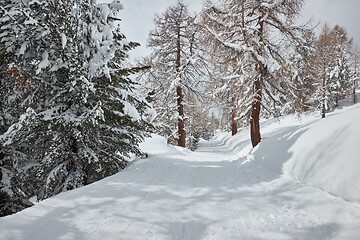 Image showing Winter Snowy Mountain Landscape