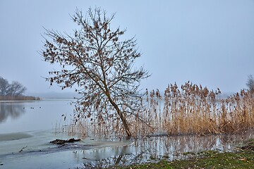 Image showing Misty autumn river landscape