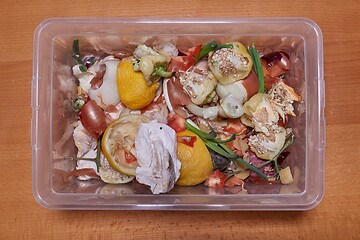 Image showing Composting bin for organic kitchen waste