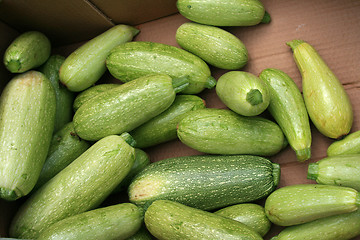 Image showing Green zucchini for sale.