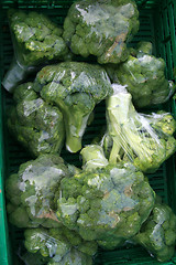 Image showing Broccoli for sale.