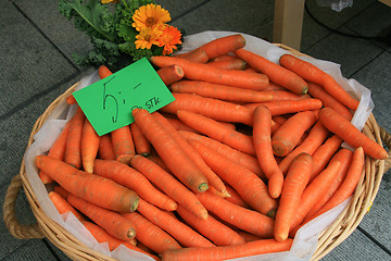 Image showing Carrot for sale.