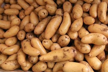 Image showing Potatos for sale.