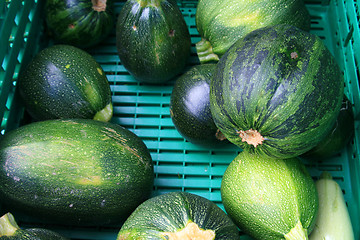 Image showing Melon for sale,