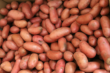 Image showing Potatos for sale