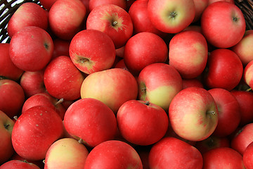 Image showing Red apples for sale