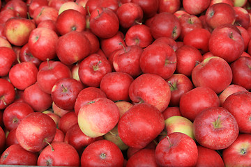 Image showing Red apples for sale.