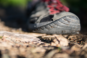 Image showing Close up of shoe