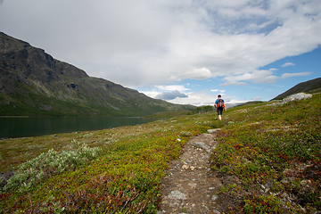 Image showing Man walking