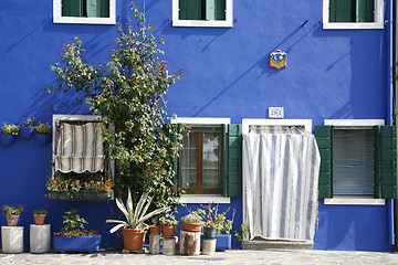 Image showing Blue house Burano