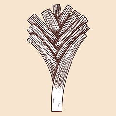 Image showing Leek Onion Icon