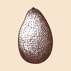 Image showing Avocado Icon