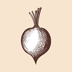 Image showing Beetroot Icon