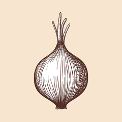 Image showing Onion Icon