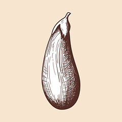 Image showing Eggplant Icon