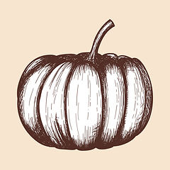 Image showing Pumpkin Icon