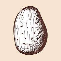 Image showing Potato Icon