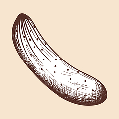 Image showing Cucumber Icon