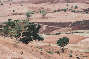 Image showing landscape with field near Gondar, Ethiopia