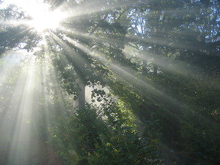 Image showing Morning light