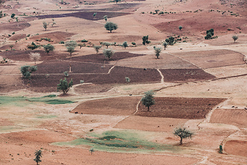 Image showing landscape with field near Gondar, Ethiopia