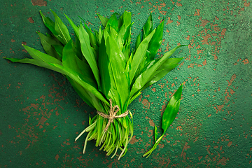 Image showing Bunch of Ramson or bear leek (Allium ursinum) on kitchen table